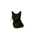 黒猫のノワール（個別スタンプ：7）