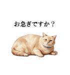 この惑星を支配する猫_2_敬語（個別スタンプ：2）