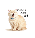 この惑星を支配する猫_2_敬語（個別スタンプ：5）