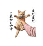 この惑星を支配する猫_2_敬語（個別スタンプ：14）