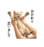 この惑星を支配する猫_2_敬語（個別スタンプ：15）