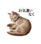 この惑星を支配する猫_2_敬語（個別スタンプ：21）