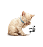 この惑星を支配する猫_2_敬語（個別スタンプ：26）