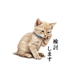 この惑星を支配する猫_2_敬語（個別スタンプ：28）