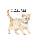 この惑星を支配する猫_2_敬語（個別スタンプ：34）