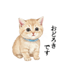 この惑星を支配する猫_2_敬語（個別スタンプ：35）