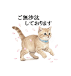 この惑星を支配する猫_2_敬語（個別スタンプ：37）