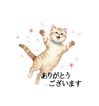 この惑星を支配する猫_2_敬語（個別スタンプ：38）