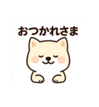 白い柴犬のゆるっとスタンプ（個別スタンプ：2）