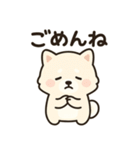 白い柴犬のゆるっとスタンプ（個別スタンプ：4）