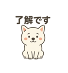 白い柴犬のゆるっとスタンプ（個別スタンプ：10）