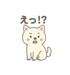 白い柴犬のゆるっとスタンプ（個別スタンプ：13）