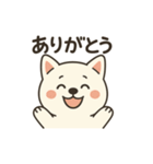 白い柴犬のゆるっとスタンプ（個別スタンプ：16）