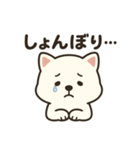 白い柴犬のゆるっとスタンプ（個別スタンプ：17）