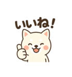 白い柴犬のゆるっとスタンプ（個別スタンプ：18）