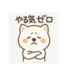 白い柴犬のゆるっとスタンプ（個別スタンプ：23）