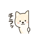 白い柴犬のゆるっとスタンプ（個別スタンプ：24）