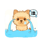 『チョコちゃん』スタンプ（個別スタンプ：7）