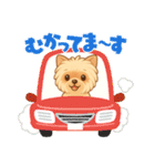 『チョコちゃん』スタンプ（個別スタンプ：11）