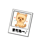 『チョコちゃん』スタンプ（個別スタンプ：14）