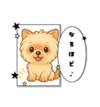 『チョコちゃん』スタンプ（個別スタンプ：25）