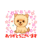 『チョコちゃん』スタンプ（個別スタンプ：31）