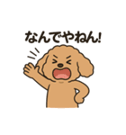 関西弁トイプードルスタンプ♡ツッコミ系♡（個別スタンプ：1）