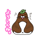 かみさまになりたいわもんたぬき（個別スタンプ：8）