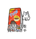 猫あるある（ぶち猫（白灰）／長毛）（個別スタンプ：1）