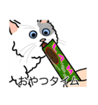 猫あるある（ぶち猫（白灰）／長毛）（個別スタンプ：4）