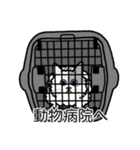 猫あるある（ぶち猫（白灰）／長毛）（個別スタンプ：8）