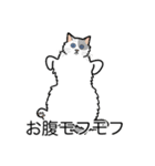 猫あるある（ぶち猫（白灰）／長毛）（個別スタンプ：14）
