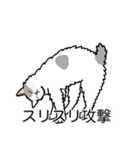 猫あるある（ぶち猫（白灰）／長毛）（個別スタンプ：15）