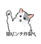 猫あるある（ぶち猫（白灰）／長毛）（個別スタンプ：17）