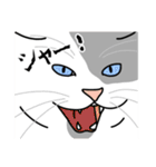 猫あるある（ぶち猫（白灰）／長毛）（個別スタンプ：18）