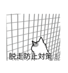 猫あるある（ぶち猫（白灰）／長毛）（個別スタンプ：27）