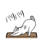 猫あるある（ぶち猫（白灰）／長毛）（個別スタンプ：28）