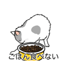 猫あるある（ぶち猫（白灰）／長毛）（個別スタンプ：32）