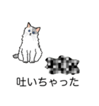 猫あるある（ぶち猫（白灰）／長毛）（個別スタンプ：33）