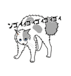 猫あるある（ぶち猫（白灰）／長毛）（個別スタンプ：37）