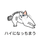 猫あるある（ぶち猫（白灰）／長毛）（個別スタンプ：38）