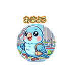 ヨウムとサザナミインコ（個別スタンプ：1）