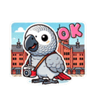 ヨウムとサザナミインコ（個別スタンプ：10）
