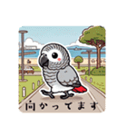 ヨウムとサザナミインコ（個別スタンプ：12）