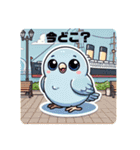 ヨウムとサザナミインコ（個別スタンプ：13）