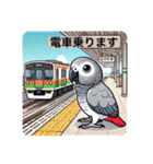 ヨウムとサザナミインコ（個別スタンプ：15）