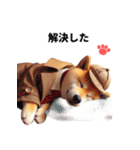 柴犬の名犬ホームズが言いそうなセリフ（個別スタンプ：20）