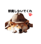柴犬の名犬ホームズが言いそうなセリフ（個別スタンプ：32）