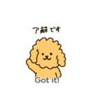 「わたしはプードル」（個別スタンプ：1）