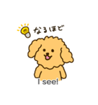 「わたしはプードル」（個別スタンプ：13）